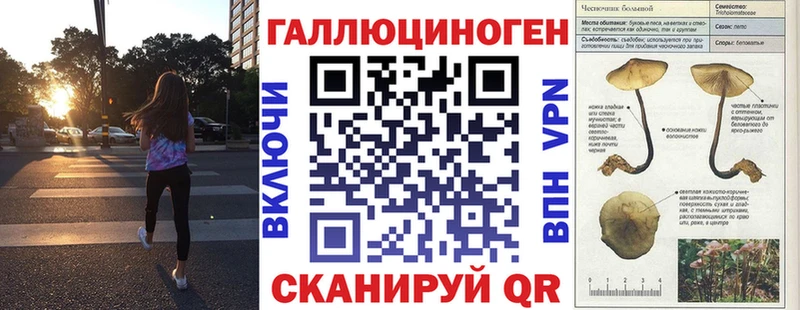 Купить  Лермонтов  Псилоцибиновые грибы Cubensis 